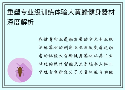 重塑专业级训练体验大黄蜂健身器材深度解析